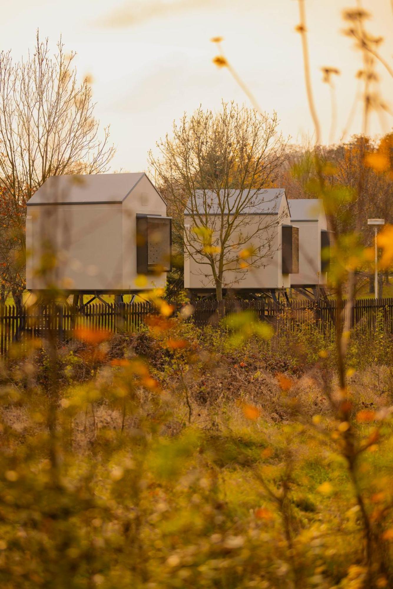 Prague Camping Dzban Exteriör bild